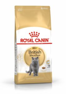 Makanan Terbaik Untuk Kucing British Shorthair